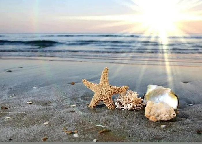 Bbr26- Sea View First Line Sarafovo * Burgas