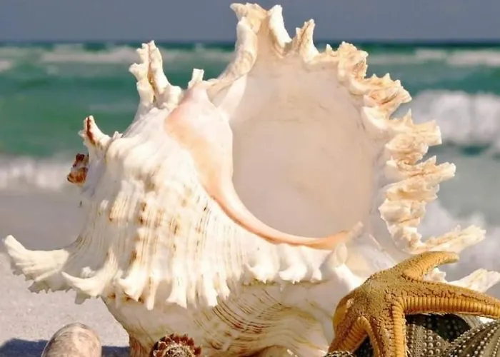 Lägenhet Bbr26- Sea View First Line Sarafovo Burgas