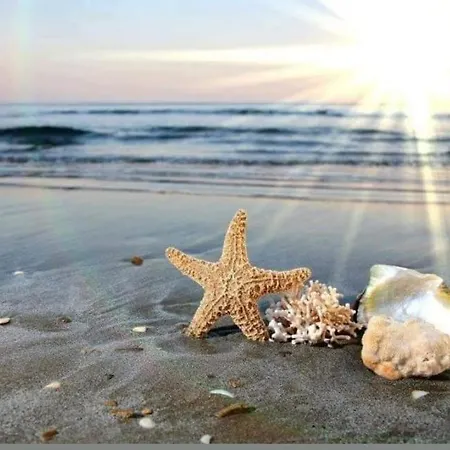 Bbr26- Sea View First Line Sarafovo * Burgas Stad