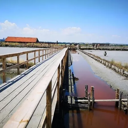 דירה Bbr26- Sea View First Line Sarafovo